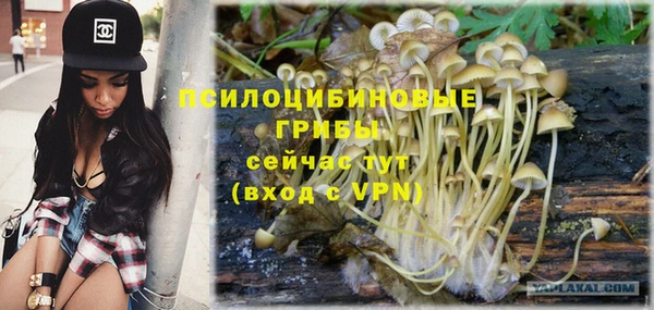 тгк Богданович