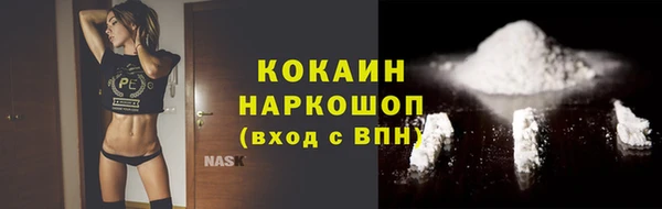 тгк Богданович