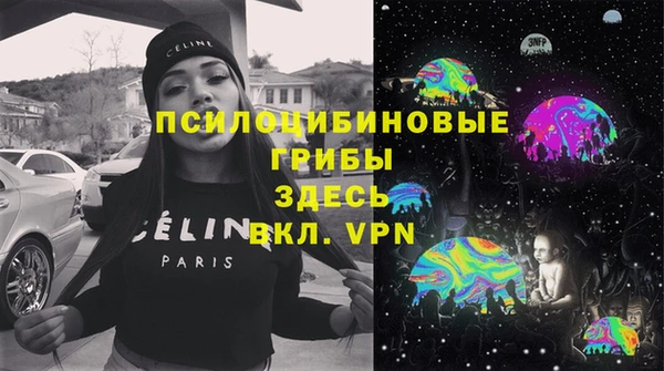 тгк Богданович
