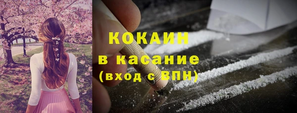 тгк Богданович