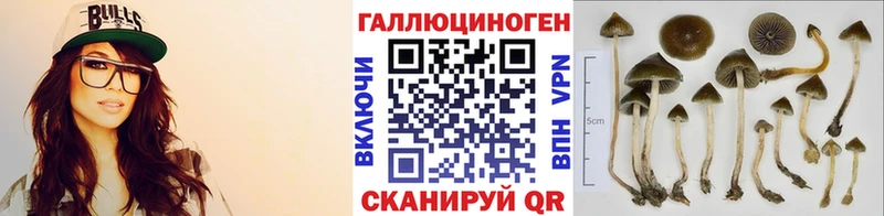 что такое наркотик  Череповец  Псилоцибиновые грибы Magic Shrooms 